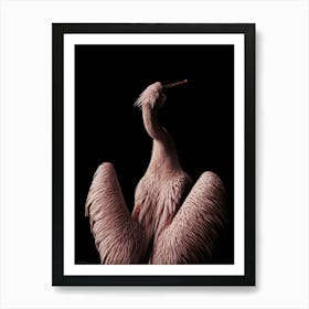 Pink Pelican Art Print