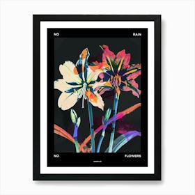 No Rain No Flowers Poster Amaryllis 7 Art Print