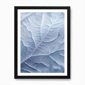 Frosty Leaf 2 Art Print