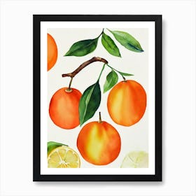 Tangerine Watercolour Fruit Painting Fruit Art Print