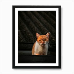 Portrait Of A Ginger Cat On The Roof Of A Building. Art Print