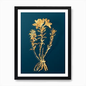 Vintage Lily of the Incas Botanical in Gold on Teal Blue n.0299 Art Print
