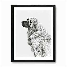 Leonberger Dog Line Sketch 1 Art Print