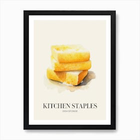 Kitchen Staples Dish Sponge 2 Art Print