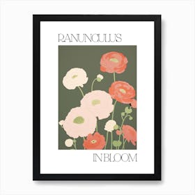 Ranunculus In Bloom Flowers Bold Illustration 4 Art Print