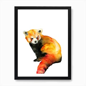 Red Panda Art Print