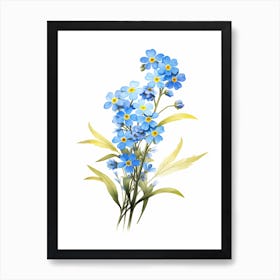 Forget Me Not Wildflower (1) Art Print