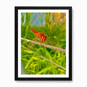 Dragonfly on a tree branch Art Print