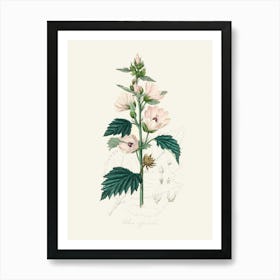 Vintage Botanical John Stephenson and James Morss Churchill Art Print_2731659 Art Print