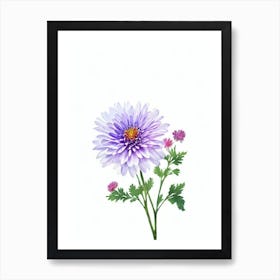 Chrysanthemums Purple  Watercolour Flower Art Print