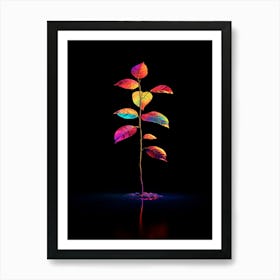 Rainbow Tree On Black Background Art Print