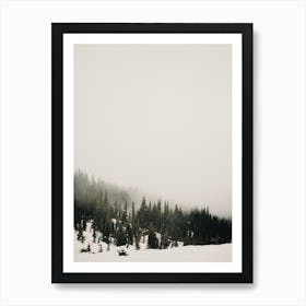 Foggy Winter Day Art Print