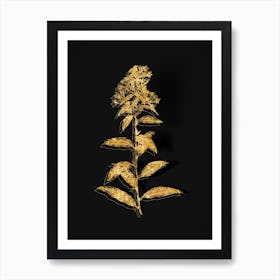 Vintage Green Cestrum Botanical in Gold on Black n.0010 Art Print