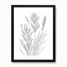 Psyllium Herb William Morris Inspired Line Drawing 1 Art Print