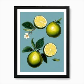 Limes And Lemons Art Print