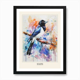 Magpie Colourful Watercolour 3 Poster Art Print