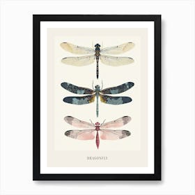 Colourful Insect Illustration Dragonfly 8 Poster Art Print