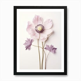 Pressed Flower Botanical Art Anemone 2 Art Print