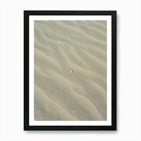 Sullivan's Island VI on Film Art Print