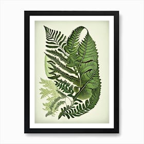 Walking Fern Vintage Botanical Poster Art Print