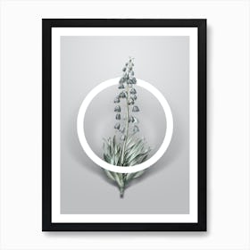 Vintage Persian Lily Minimalist Flower Geometric Circle on Soft Gray n.0133 Art Print