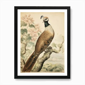 Storybook Animal Watercolour Peacock 2 Art Print
