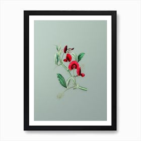 Vintage Tangier Pea Flower Botanical Art on Mint Green Art Print