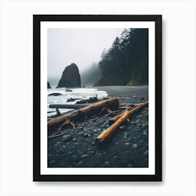 Beach Logs On A Foggy Day Art Print