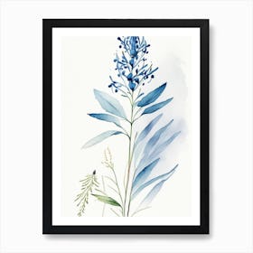 Blue Cohosh Herb Minimalist Watercolour 1 Art Print