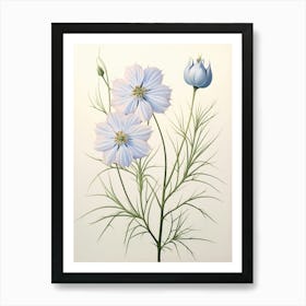 Floral Illustration Love In A Mist Nigella 1 Art Print