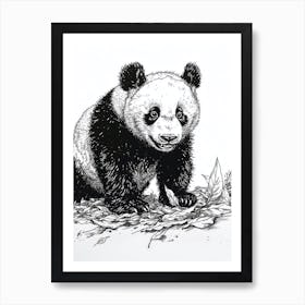 Giant Panda Cub Playing With A Fallen Leaf Ink Illustration 4 Art Print