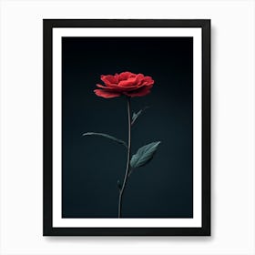 Single Red Rose 20 Art Print