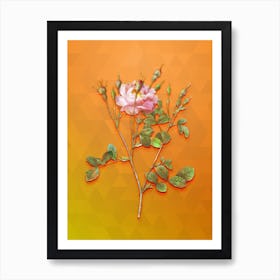 Vintage Anemone Flower Sweetbriar Rose Botanical Art on Tangelo n.0543 Art Print