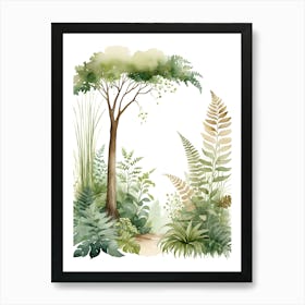 Ferns And Trees In The Forest Art Print