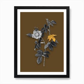 Vintage Dog Rose Black and White Gold Leaf Floral Art on Coffee Brown n.0183 Art Print