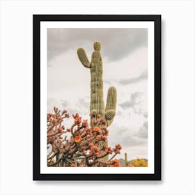 Orange Cactus Flowers Art Print