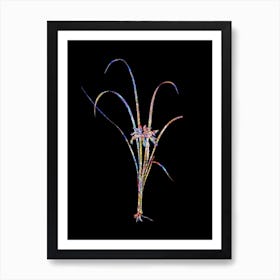 Stained Glass Grass Leaved Iris Mosaic Botanical Illustration on Black Art Print