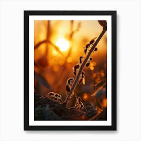 Ant Colony Collaboratively Foraging Under The Glowing Blaze Of A Setting Sun With Elongated Shadows 2 1 Art Print