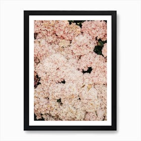 Blush Hydrangea Bush Art Print