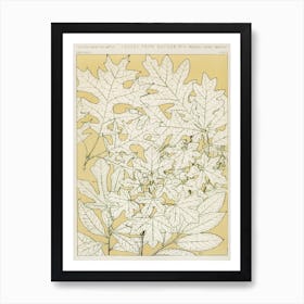 Vintage Pattern Illustration, Owen Jones                      Art Print