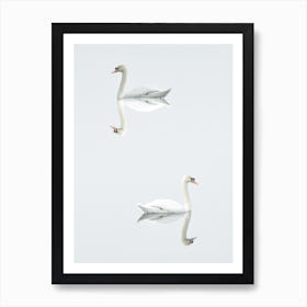 Mirror Swans Art Print