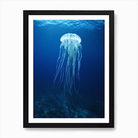 Turritopsis Dohrnii Importal Jellyfish Ocean Realistic 1 Art Print