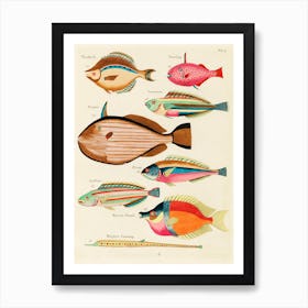 Colourful And Surreal Illustrations Of Fishes Found In Moluccas (Indonesia) And The East Indies, Louis Renard(71) Art Print