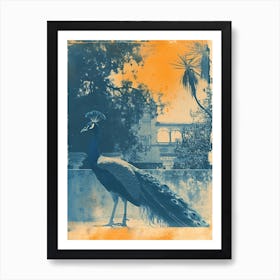 Orange & Blue Peacock With Palace In The Background 3 Art Print