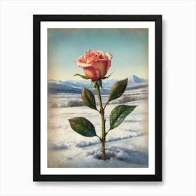 Rose In The Snow Art Print