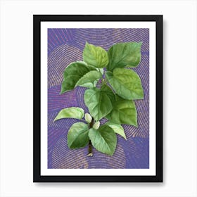 Vintage White Mulberry Plant Botanical Illustration on Veri Peri n.0274 Art Print