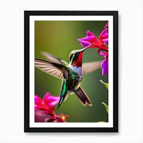 Male Ruby Throated Hummingbird -Reimagined 9 Art Print