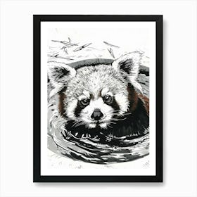 Red Panda Relaxing In A Hot Spring Ink Illustration 1 Art Print