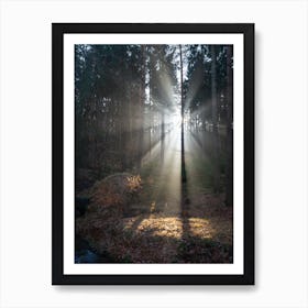 Sunbeams in the winter forest 3 Art Print