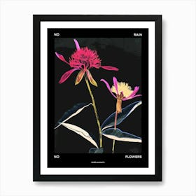 No Rain No Flowers Poster Globe Amaranth 1 Art Print